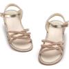 Aa436-stardust Gold