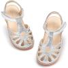 Aa396-moonlit Silver