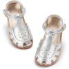 Aa510-moonlit Silver