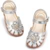Aa530-moonlit Silver
