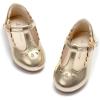 Ag227-moonlit Gold
