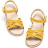 Aa304-butterlight Yellow