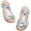Aa534-moonlit Silver
