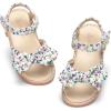 Aa562-floral Multi